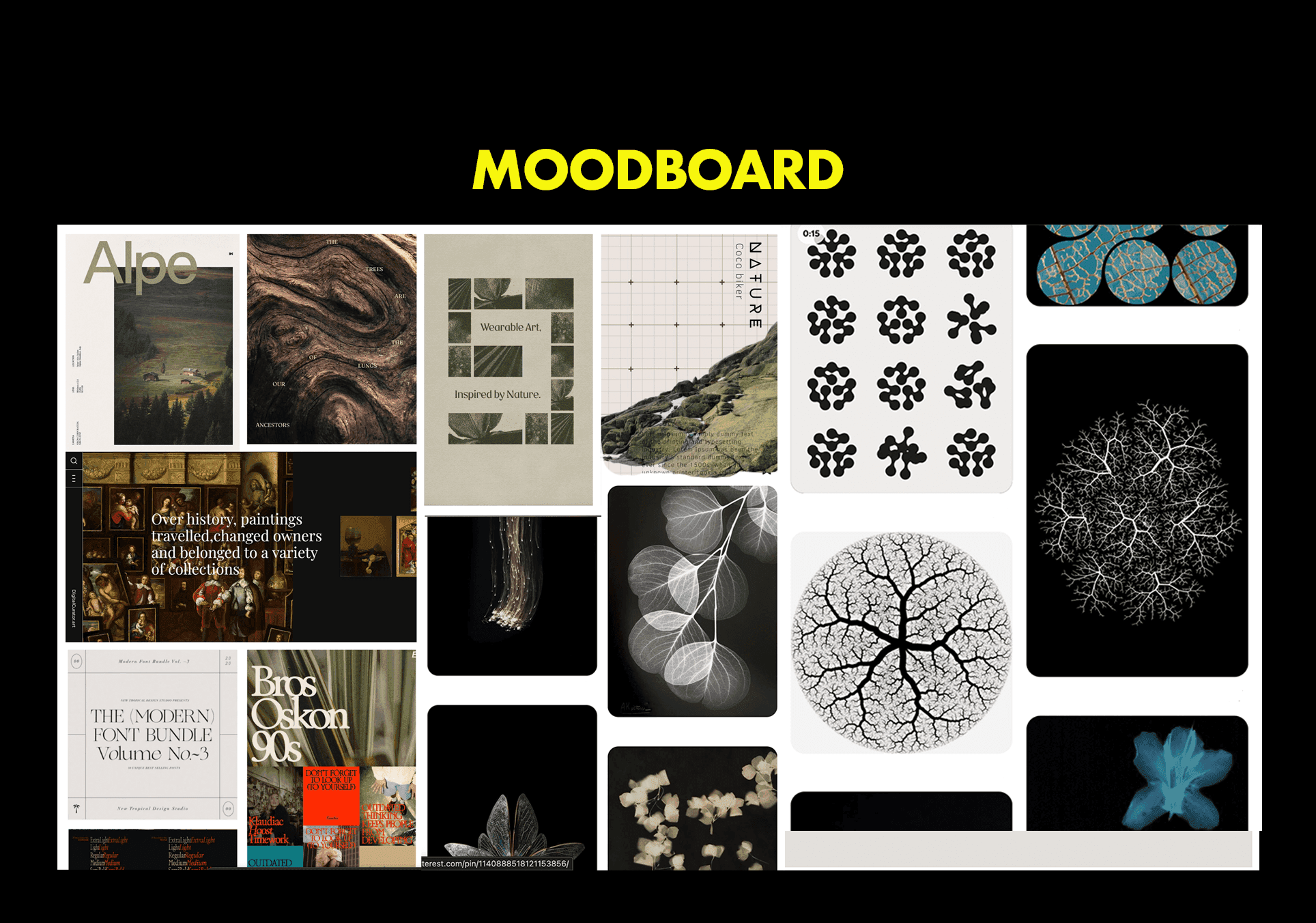 Roots, mycelium and archival textures